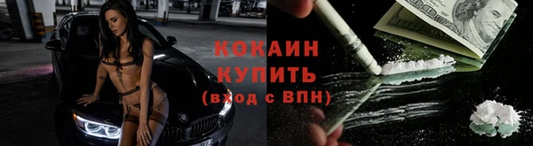 apvp Новозыбков