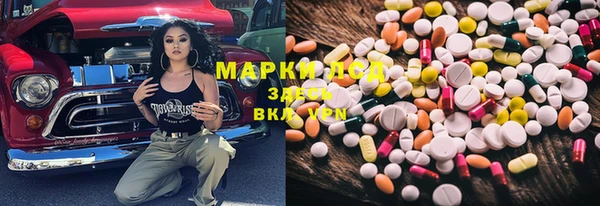 ECSTASY Новодвинск