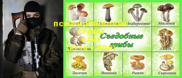 ECSTASY Новодвинск