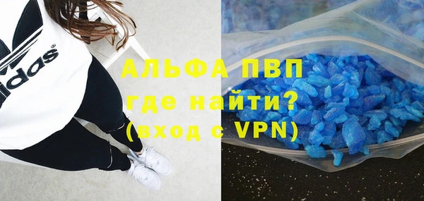 ECSTASY Новодвинск