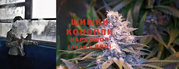 apvp Новозыбков