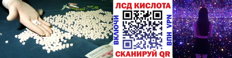 где можно купить наркотик  Шуя  LSD-25 экстази ecstasy 