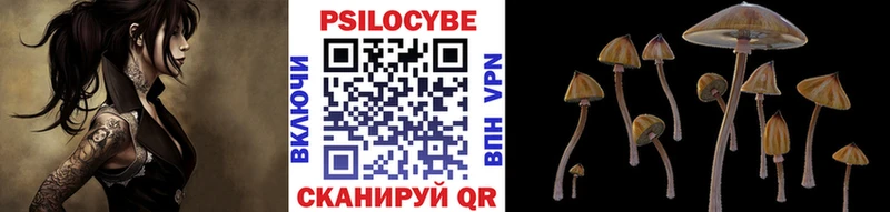 Псилоцибиновые грибы Magic Shrooms  даркнет сайт  Шуя 