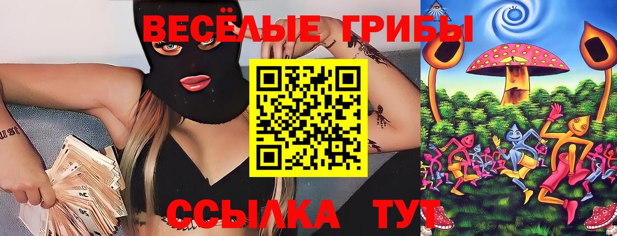 Галлюциногенные грибы GOLDEN TEACHER  Вход с VPN  Шуя 