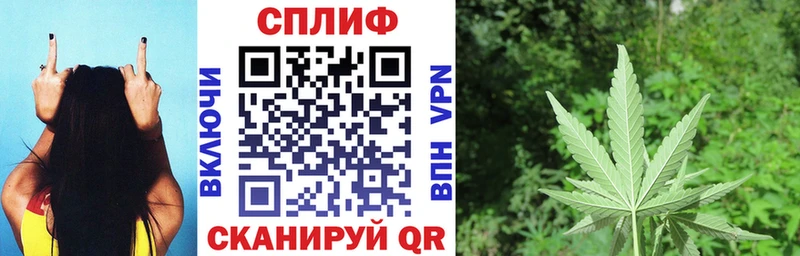 Каннабис индика  наркотики  Шуя 